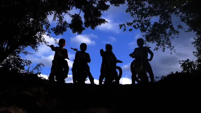 DT1 MX