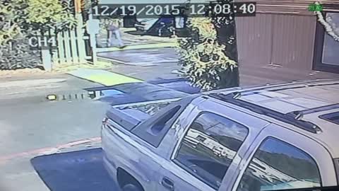 Woman Throws Dog In A Fit of Rage