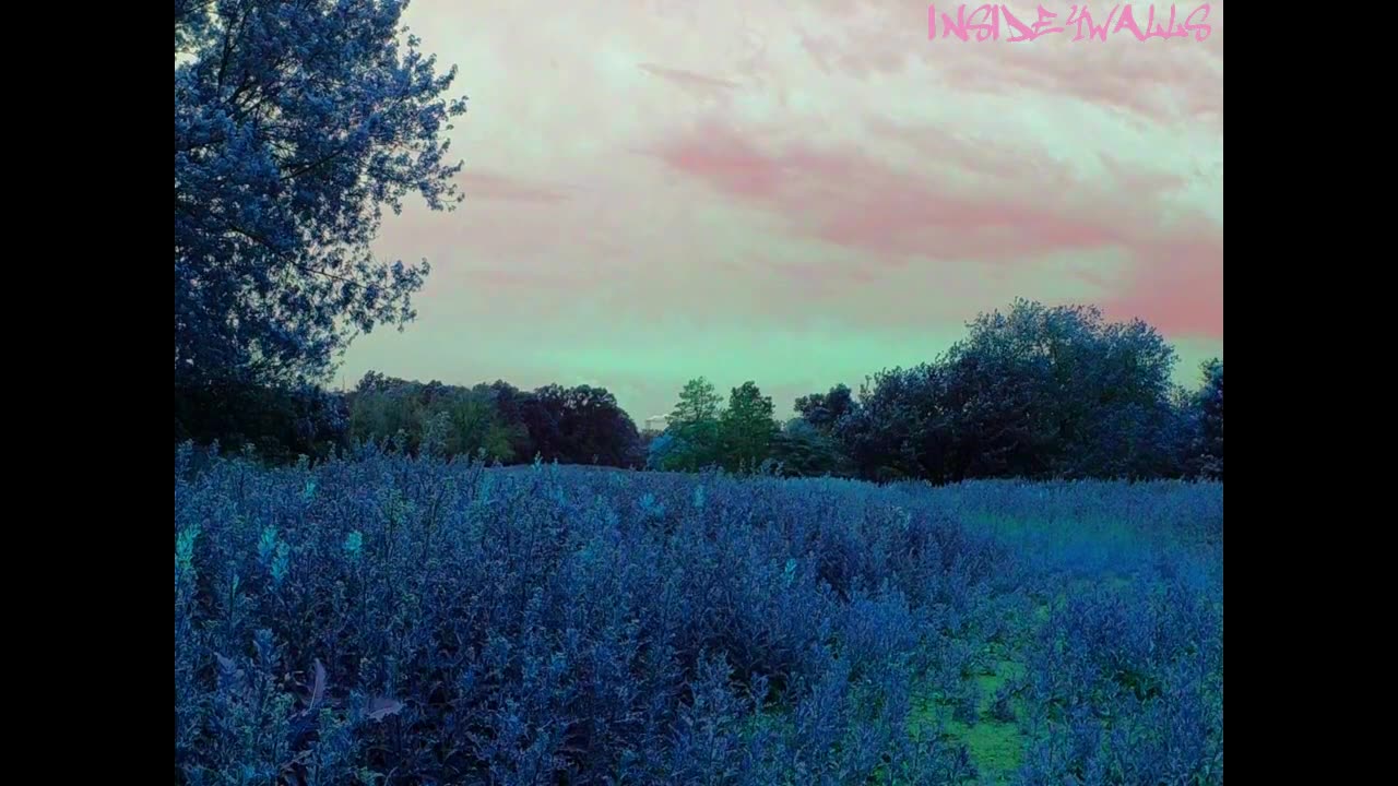 Inside4Walls-The Blue Fields With Pink Skies