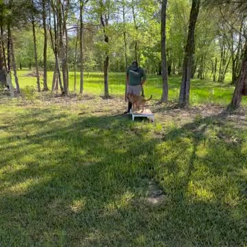 First Live Bird Retrieves