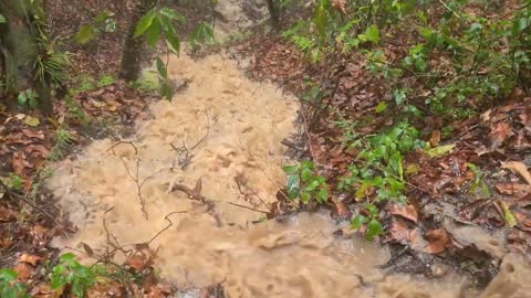 Hiking during heavy rain