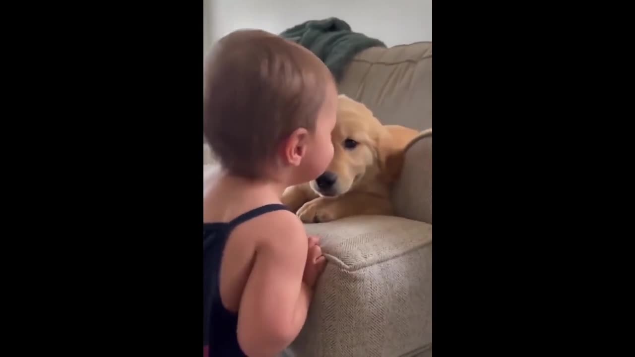 baby loves puppy