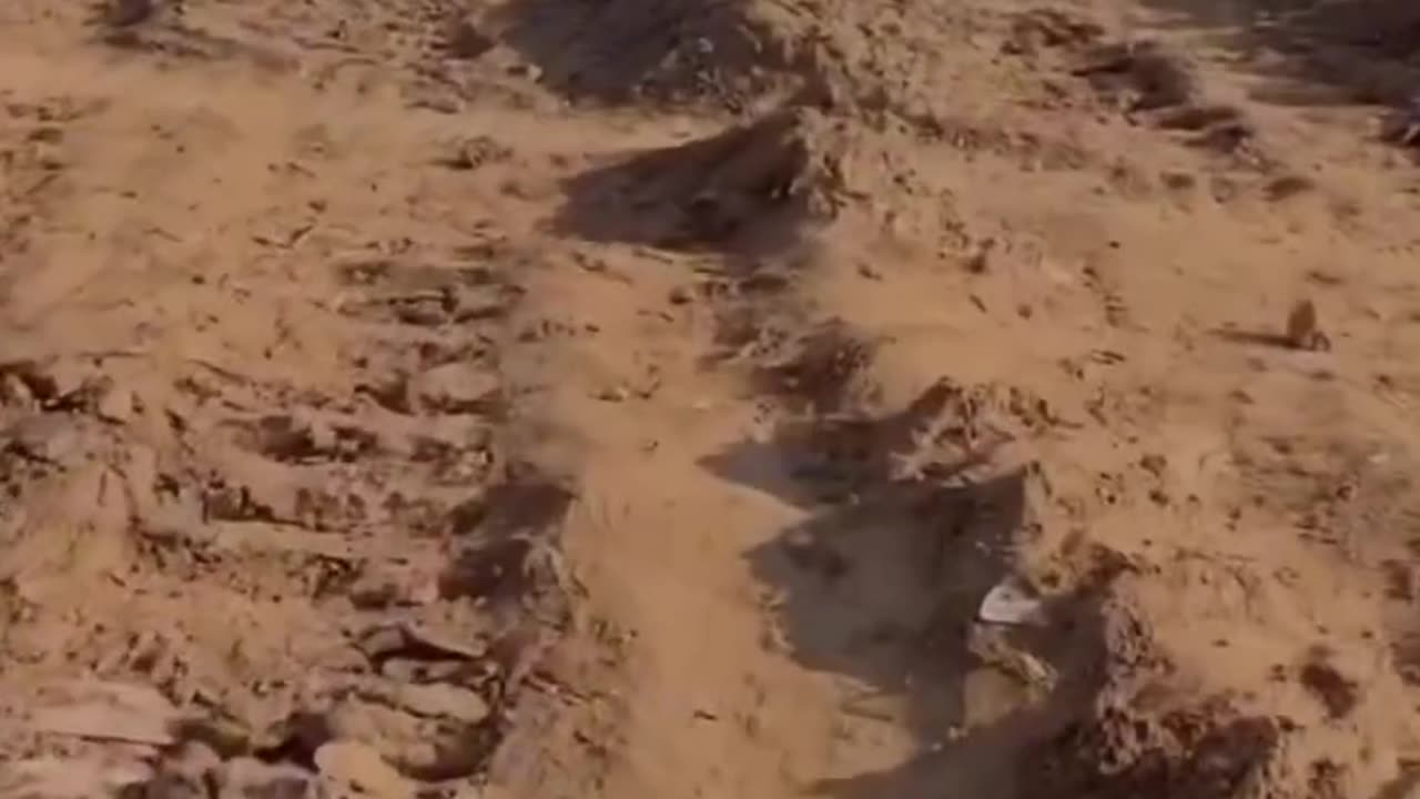 Israel is digging up Palestinian grave