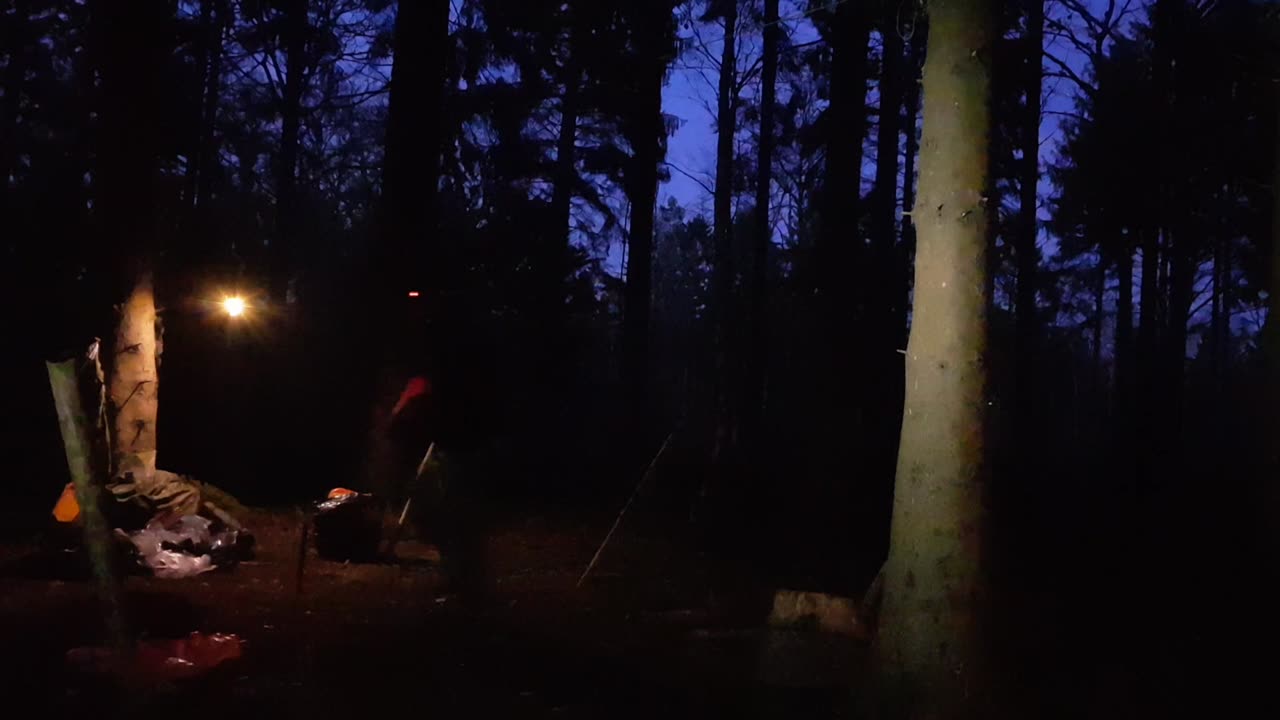 Setting up the lighting for filming taking down the tarp. 22nd Jan 2023
