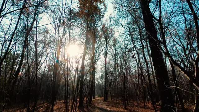 The most beautiful nature videos around the world