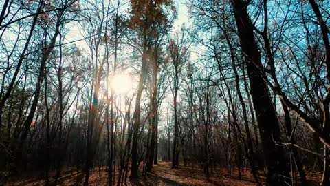 The most beautiful nature videos around the world