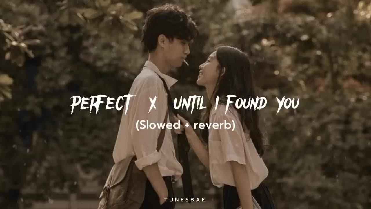 Lofi mashup perfect × until I found you