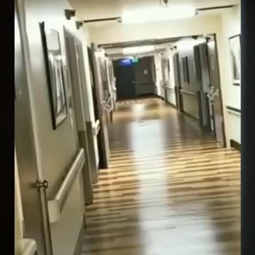 no one believed what this security guard saw (so he filmed it)