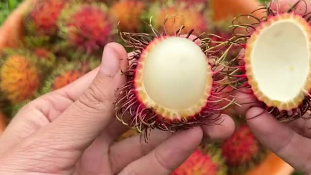 Rambutan. Related to lychee and tastes the same.