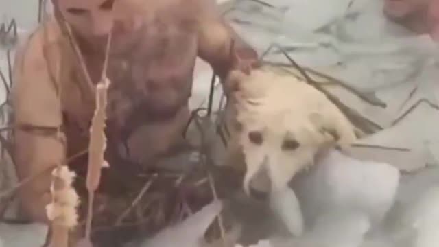 Spanish police save dog from icy reservoir