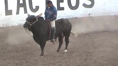 La Incontenible Banda Astilleros – El Número Uno (Las Mejores Montas De Toros)