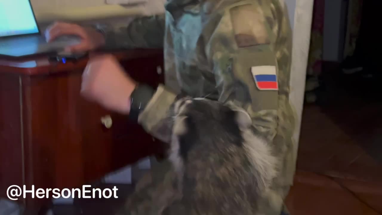 Racoon Time🦡🇷🇺🥰