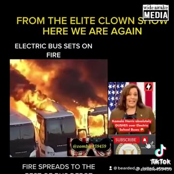 E - busses and politician that lie