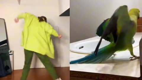 SMOOTH 😝CRIMINAL MOVES~HUMAN VS PARROT~WHICH ONE DID IT BETTER?!