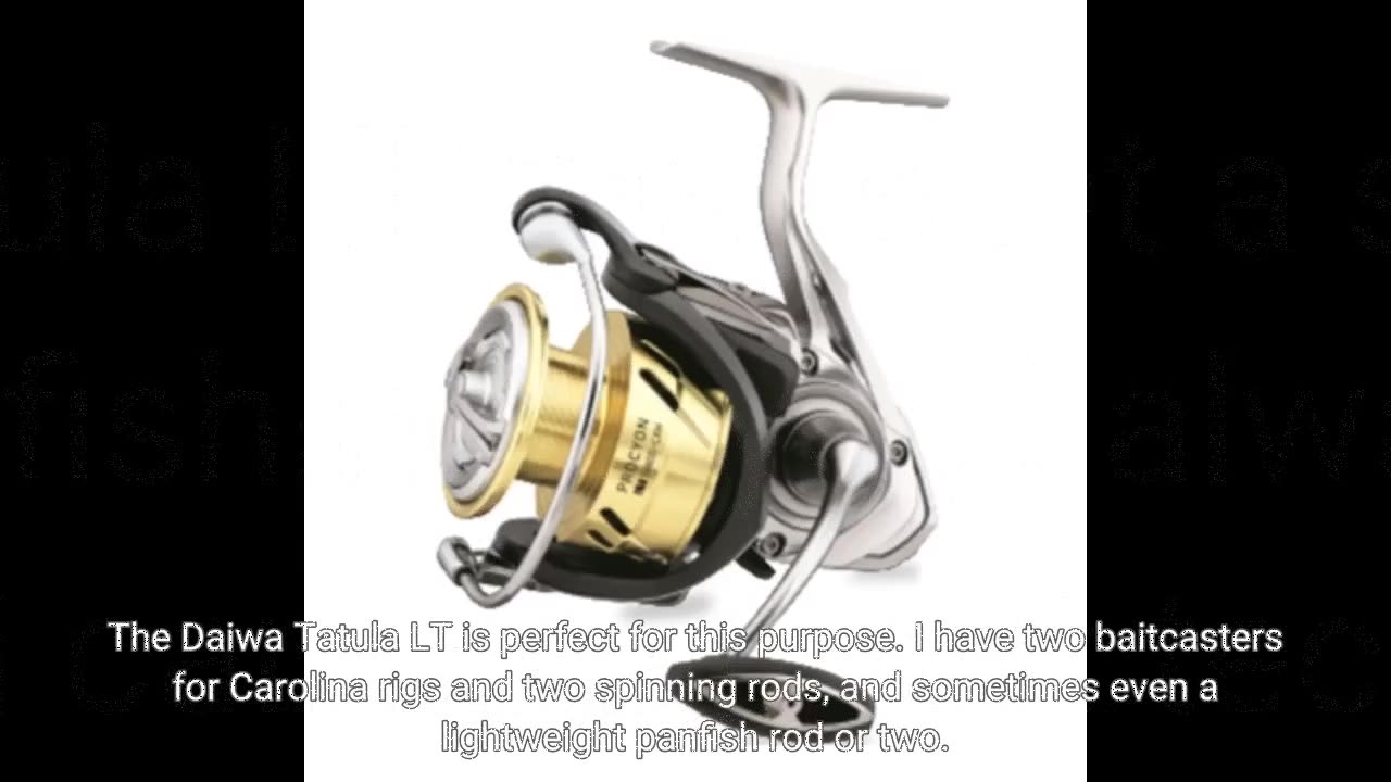 Buyer Feedback: Daiwa Tatula LT 6.2:1 LeftRight Hand Spinning Fishing Reels