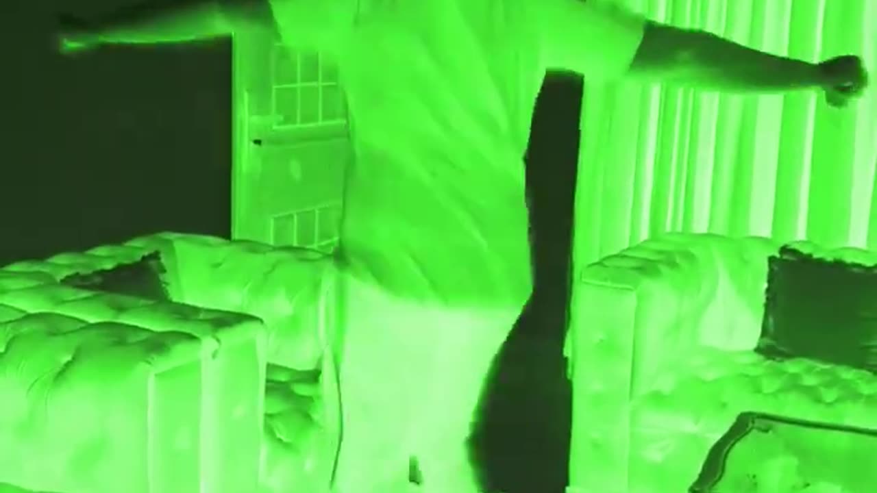 Oh no siberian monster almost killed me
