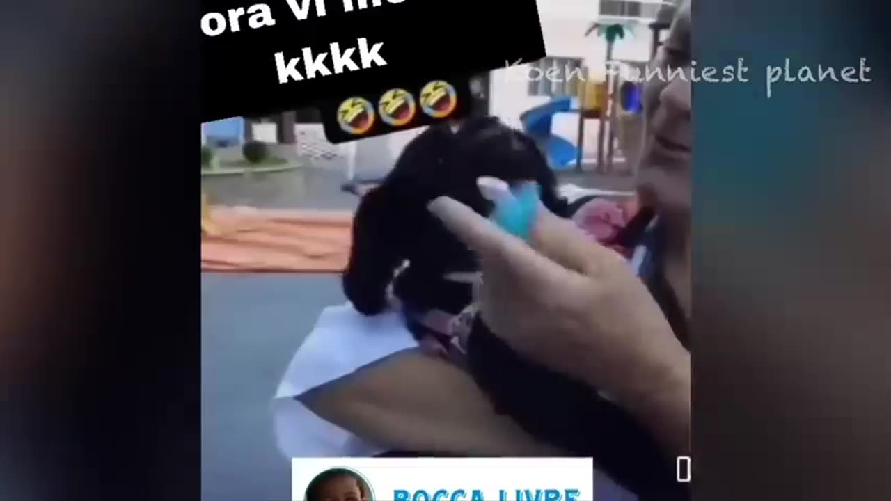 Funny Dogs And Cats Videos 2