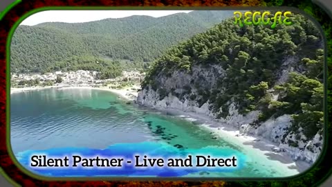 Silent Partner Live and Directt REGGAE NC #ncs #reggae #nocopyrights #audiobug71