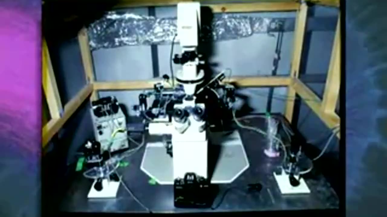 Watch Mercury Kill the Brain