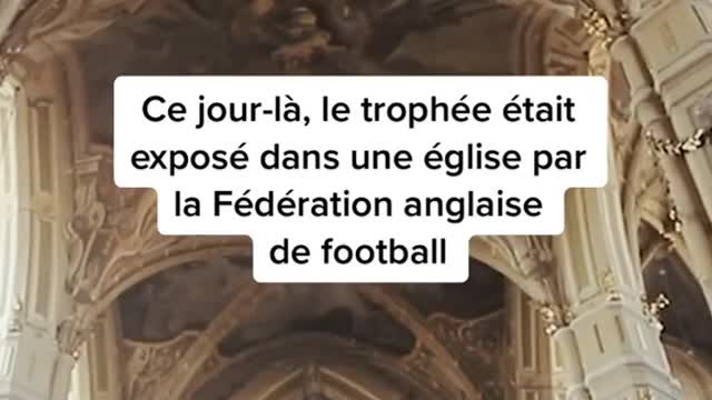 llya+ de 50 ans, le tropheede la du monde adispant dretreretrouve par un chien