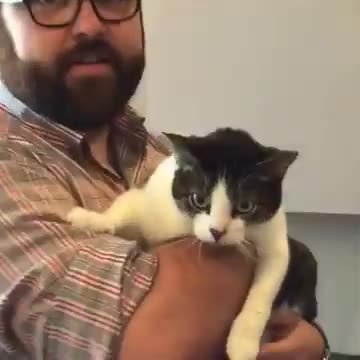 'Here He Comes' Vine by BATHSmusic