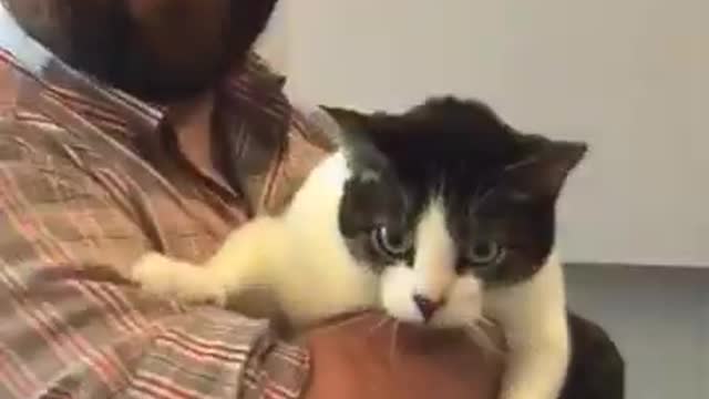 'Here He Comes' Vine by BATHSmusic