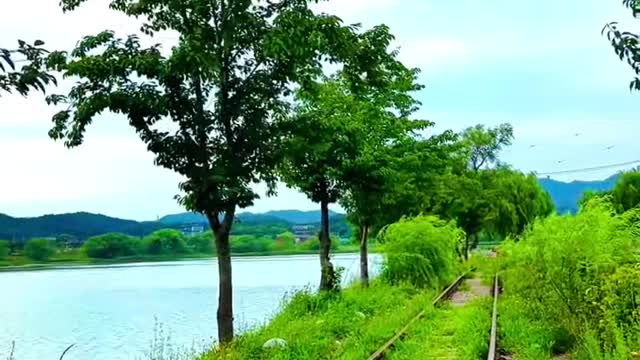 Appreciation of beautiful scenery