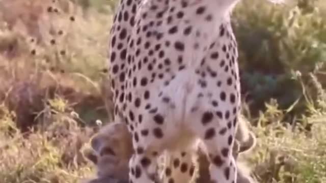 The mother watched to reassure her baby