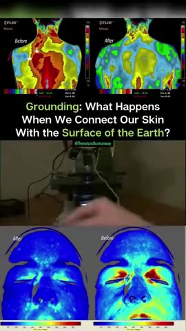 Earthing Effects on the Human Body