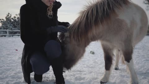 Young beautiful woman strokes muzzle adorable small pony at a ranch close up