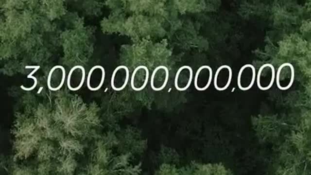 .Incredible Number Of Trees On Our Earth #shorts