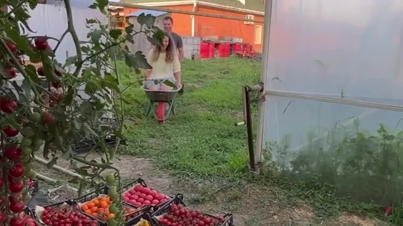 Short video funny video