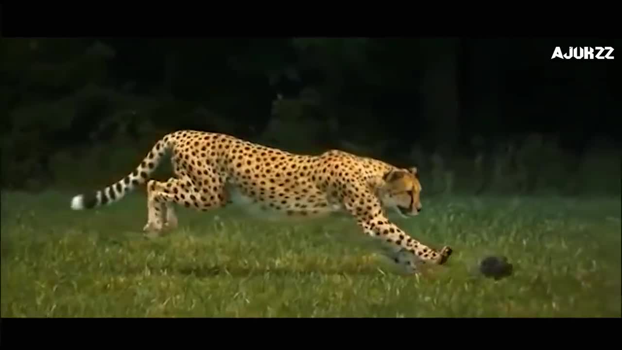 Motivational video | This will change your mind | whatsapp 30 sec video |