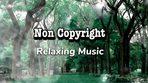 Relaxing Music | Sleeping, Meditation, Stress Relief | [7800] ⭐️