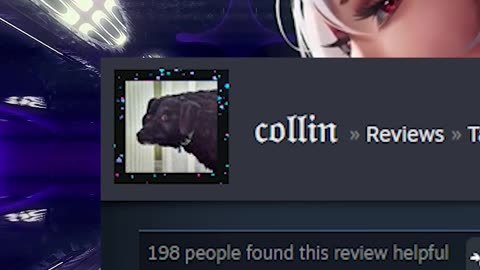 Tavern Master Steam Review - My wife is wall hacking my narbor cloth!