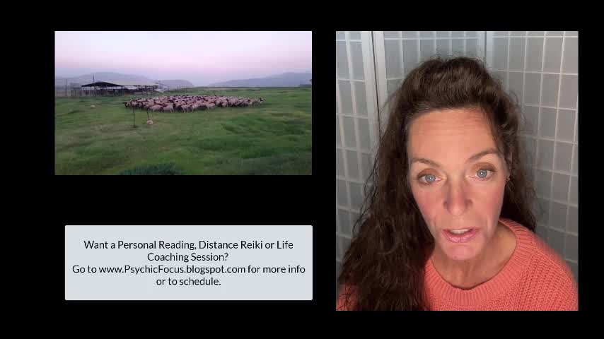 Psychic Focus on Circling Sheep