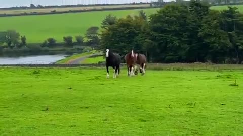 THIS IS GETTING OUT OF CONTROL!