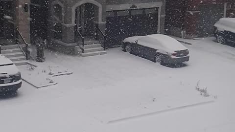 A day in Canadian Winter