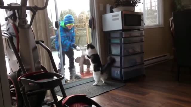 Cat Wants Ice But Mirror Gets In The Way | Funny Video