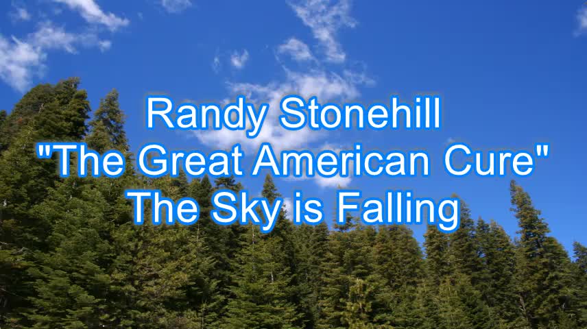 Randy Stonehill - The Great American Cure #318