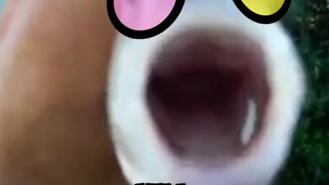 Viral With The Kids