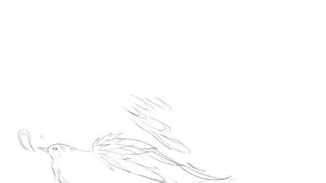 Bluebird with Procreate, part 6, and you can too.