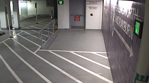 6136RHOBG3G3L8Lobby8Entrance_2021-01-06_17h40min00s877ms.mp4