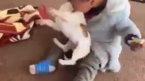 The funniest kid of all times