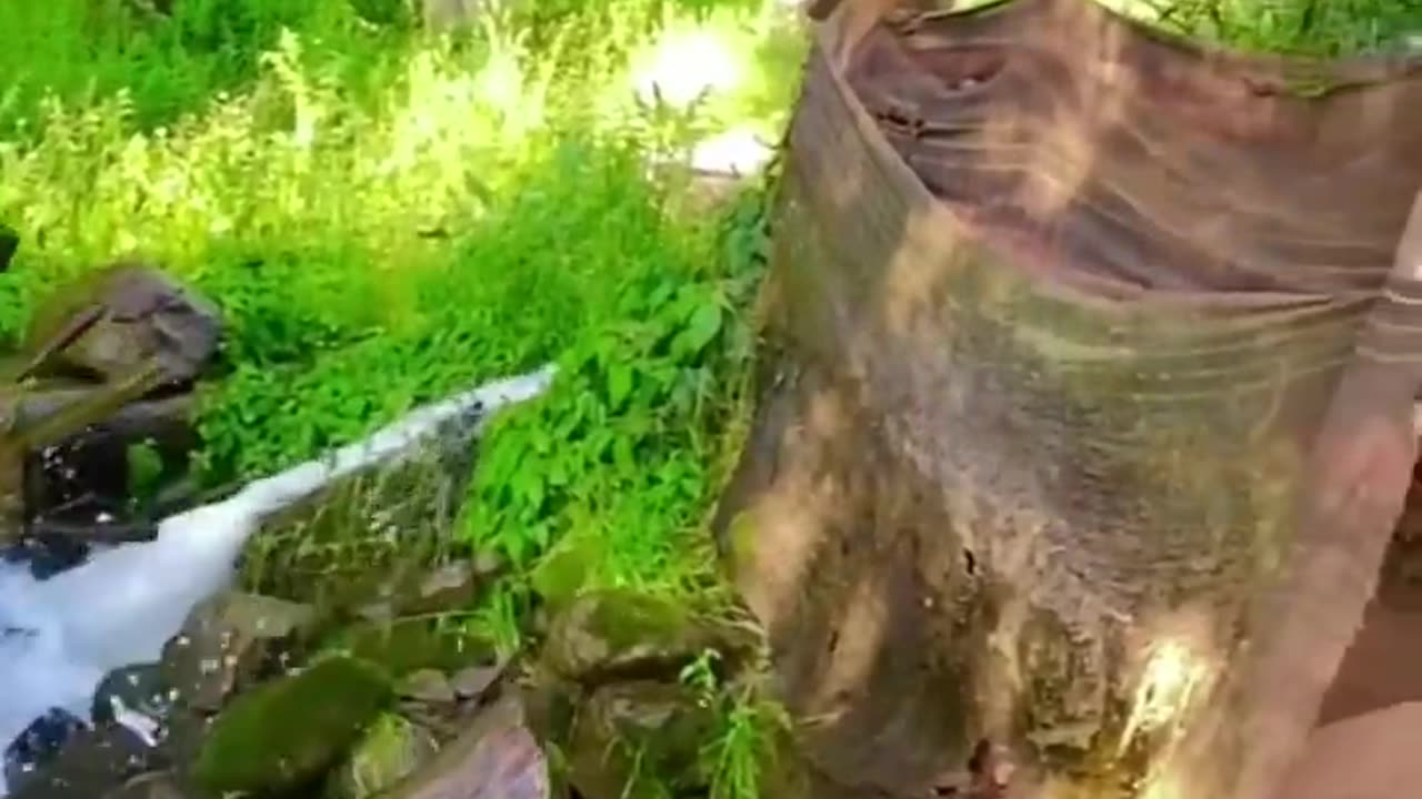 very nice video