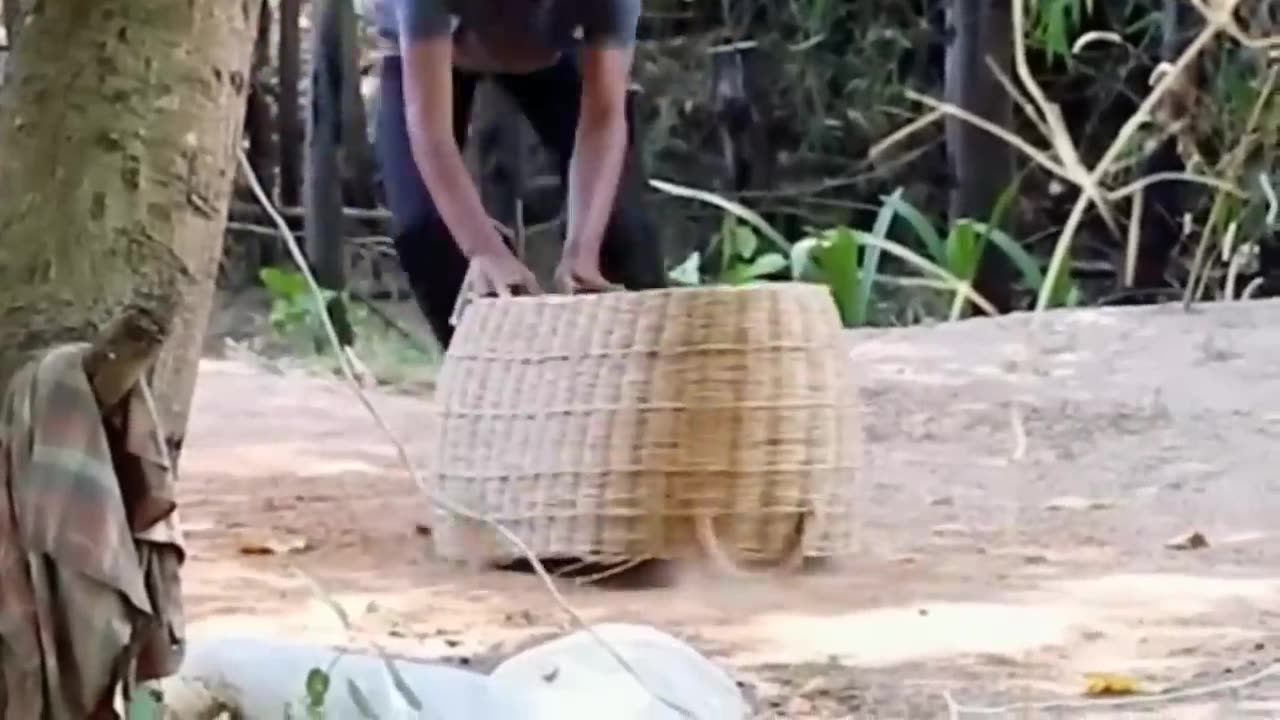 Must watch Funny Prank with Animals