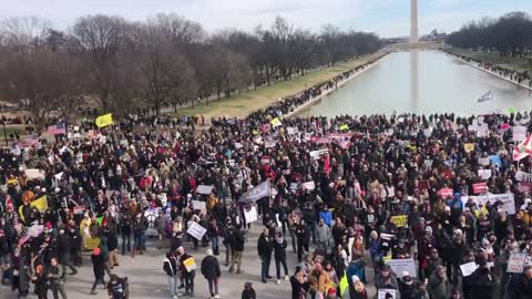 Defeat the mandates March in front of the Lincoln Memorial in Washington DC