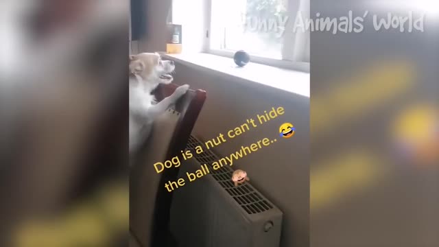persistence