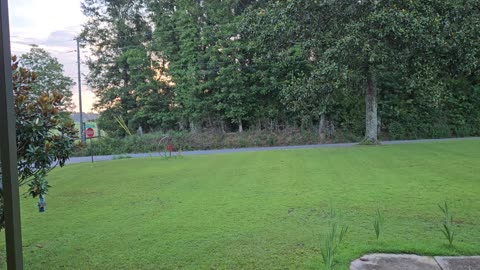 GSG Porch Report 100723