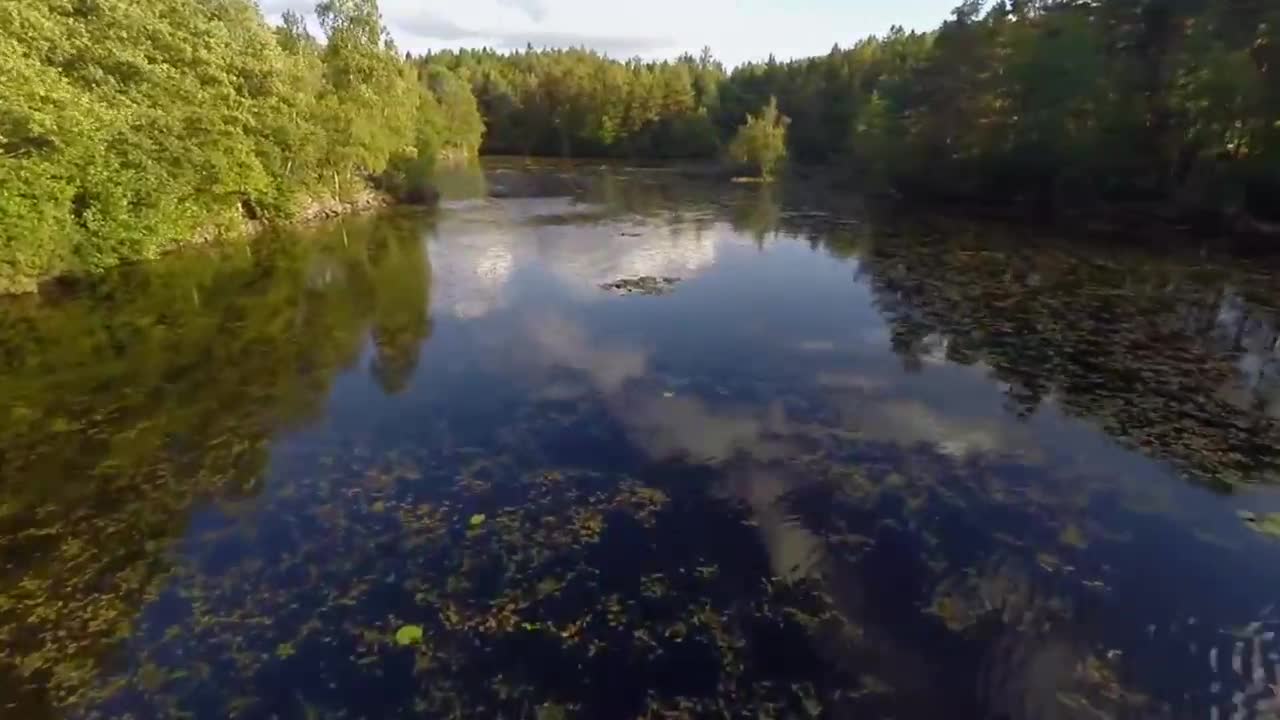 Record the most beautiful moment in nature # 1